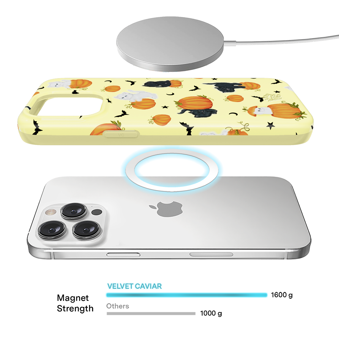 Purrfect Pumpkins iPhone Case