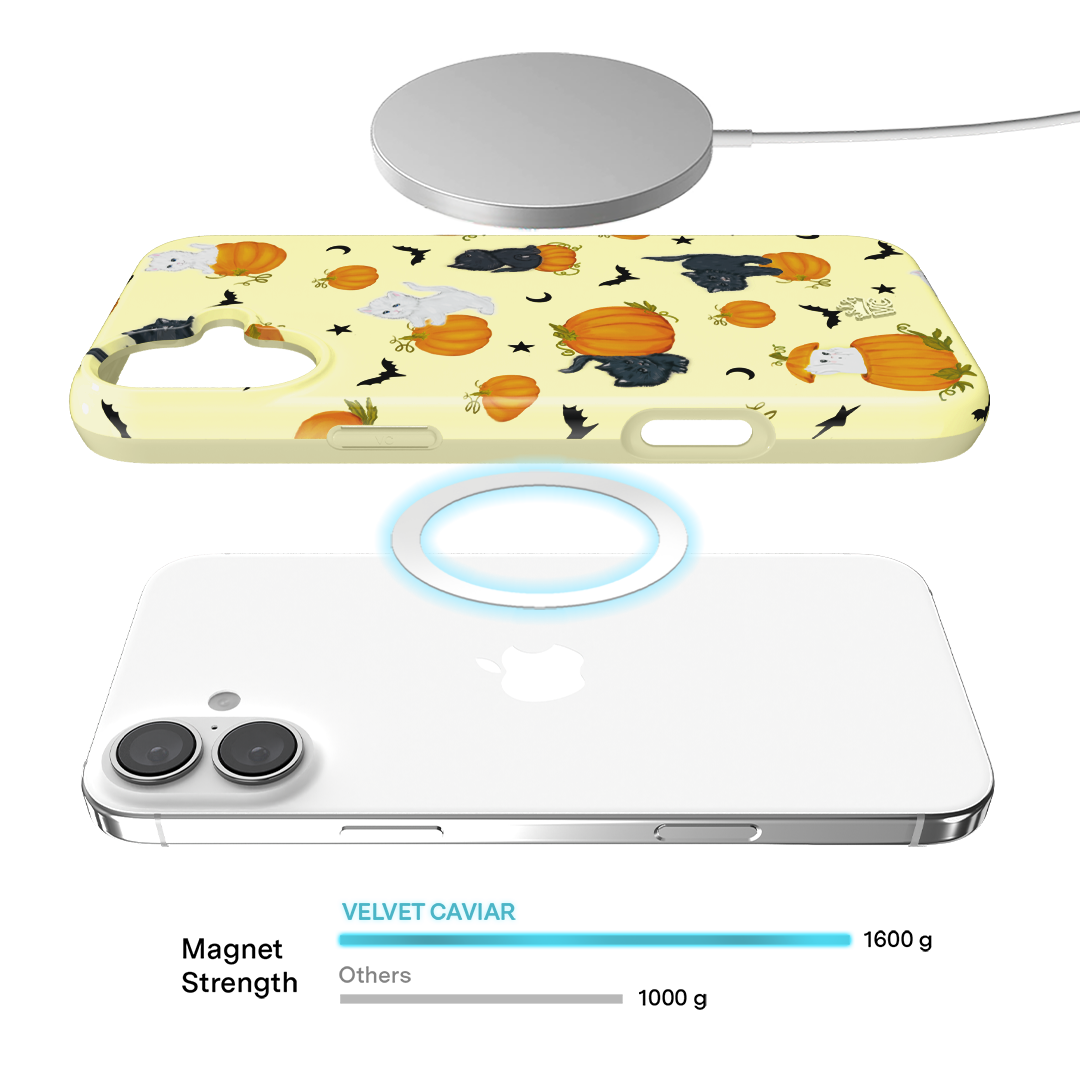 Purrfect Pumpkins iPhone Case